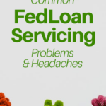 FedLoan: problemas comunes y alternativas