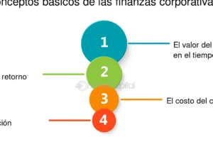 Papel de las finanzas en una empresa: Claves del éxito